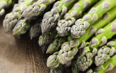 Asparagus
